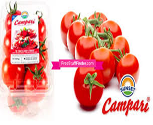 Campari Tomatoes