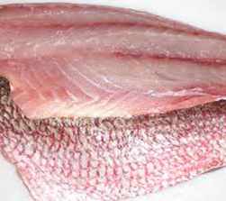 Fillet Snapper