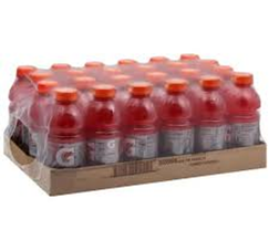 Gatorade Fruit Punch