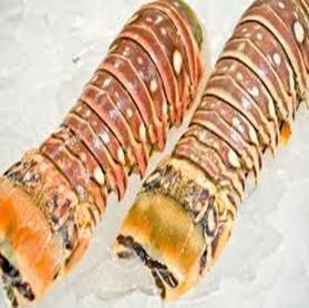 Lobster Tails
