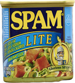 Spam Lite